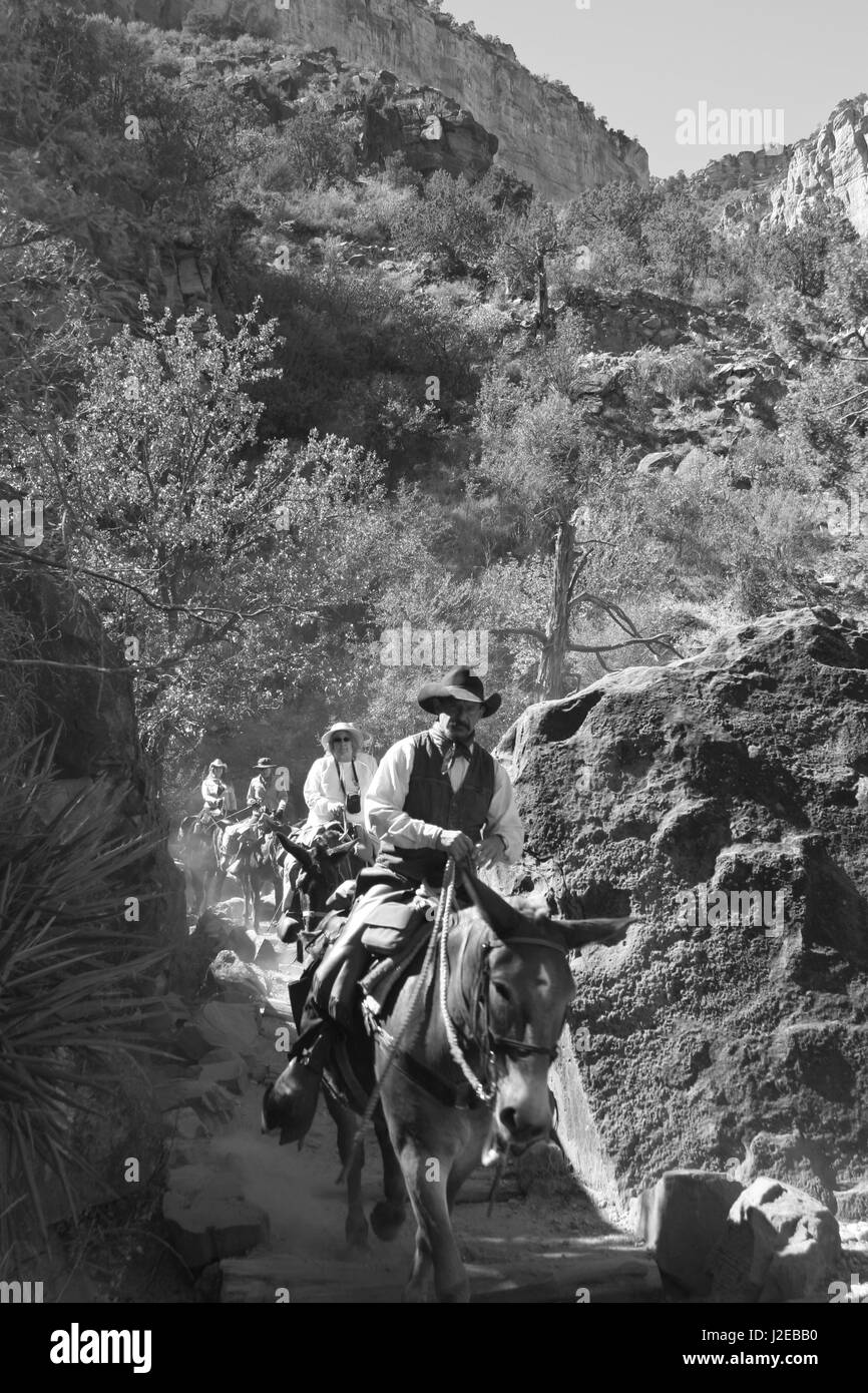 Il Bright Angel Trail del Grand Canyon South Rim Arizona U.S.A. Foto Stock