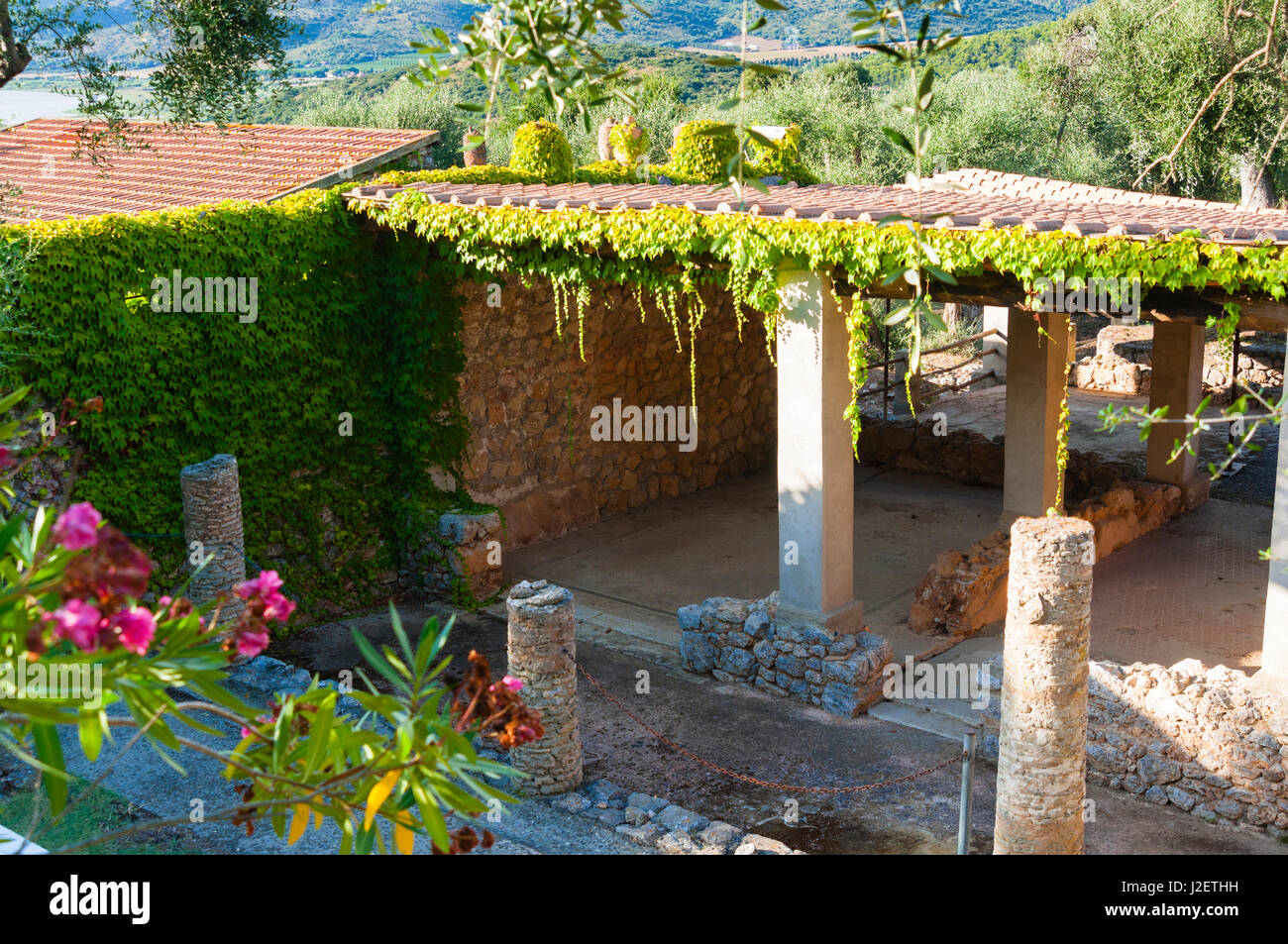 Scheletri casa, città romana di Cosa, Ansedonia, Provincia di Grosseto, Toscana, Italia Foto Stock