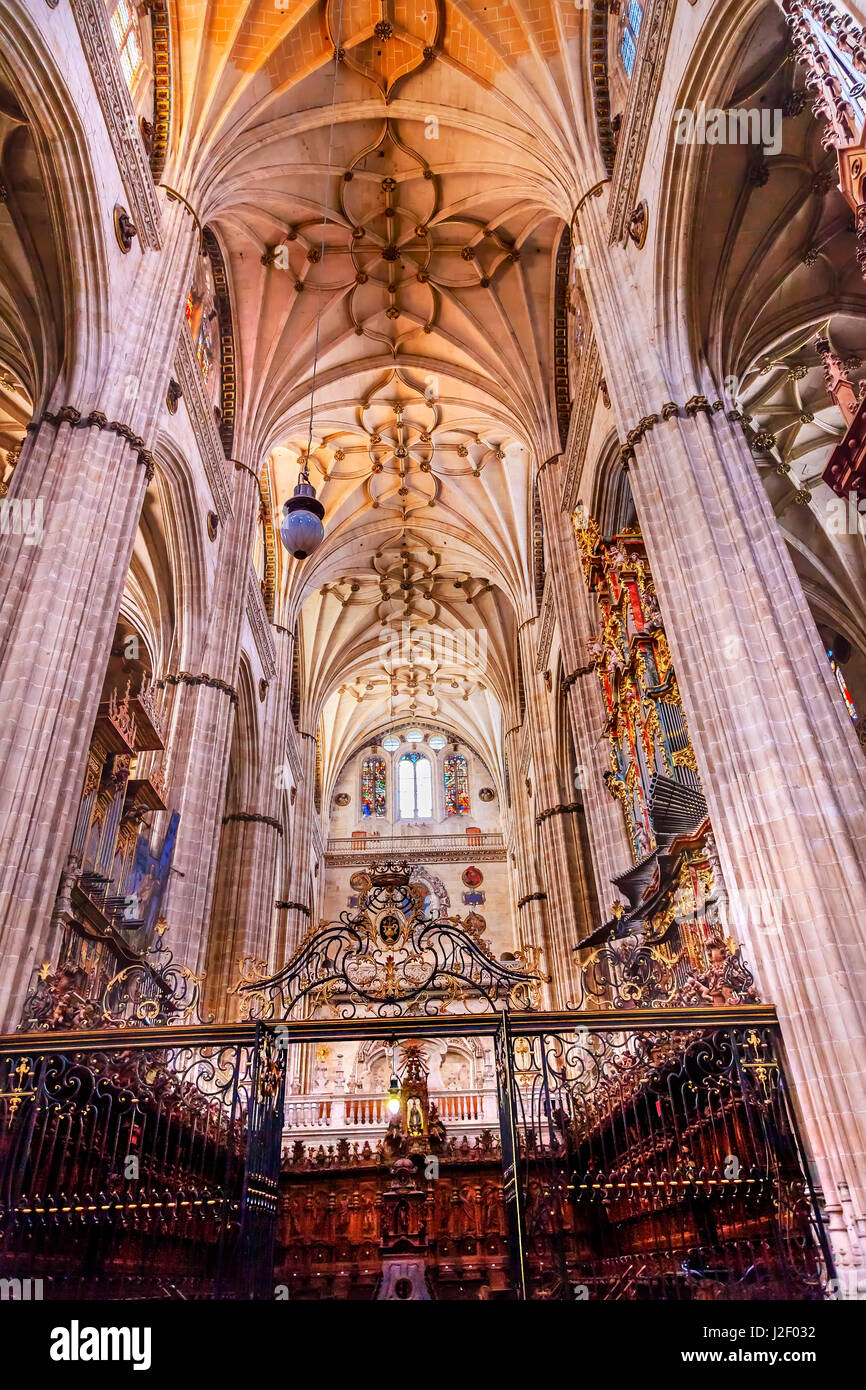Colonne, coro, Nuova Cattedrale di Salamanca, Spagna. La nuova cattedrale fu costruita dal 1513 al 1733 e commissionato da Ferdinando V di Castiglia, Spagna. Foto Stock