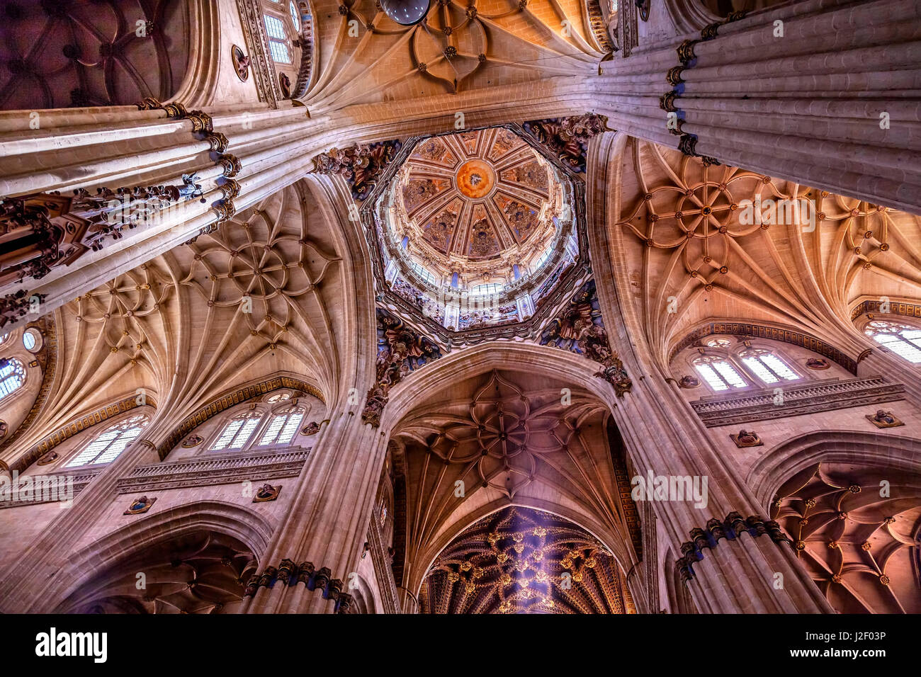 Colonne e statue di angelo, Nuova Cattedrale di Salamanca, Spagna. La nuova cattedrale fu costruita dal 1513 al 1733 e commissionato da Ferdinando V di Castiglia, Spagna. Foto Stock