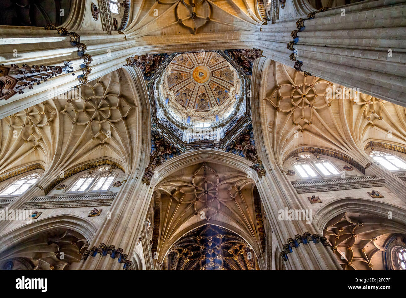 Colonne, statue, Nuova Cattedrale di Salamanca, Spagna. Le nuove e vecchie cattedrali di Salamanca sono proprio di fianco all'altra. La nuova cattedrale fu costruita dal 1513 al 1733 e commissionato da Ferdinando V di Castiglia, Spagna. Foto Stock