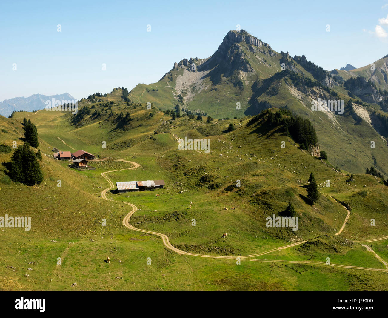 La Svizzera, nel Canton Berna, Schynige Platte, alta alpine dairy farm Foto Stock