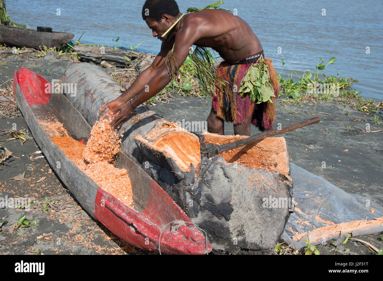 La Melanesia, Papua Nuova Guinea, fiume Sepik area, villaggio di Kopar. Uomo locali lungo il Riverfront trinciatura di sago palm il legno in pasta per essere trasformato in un cibo amidaceo sorgente. (Grandi dimensioni formato disponibile) Foto Stock