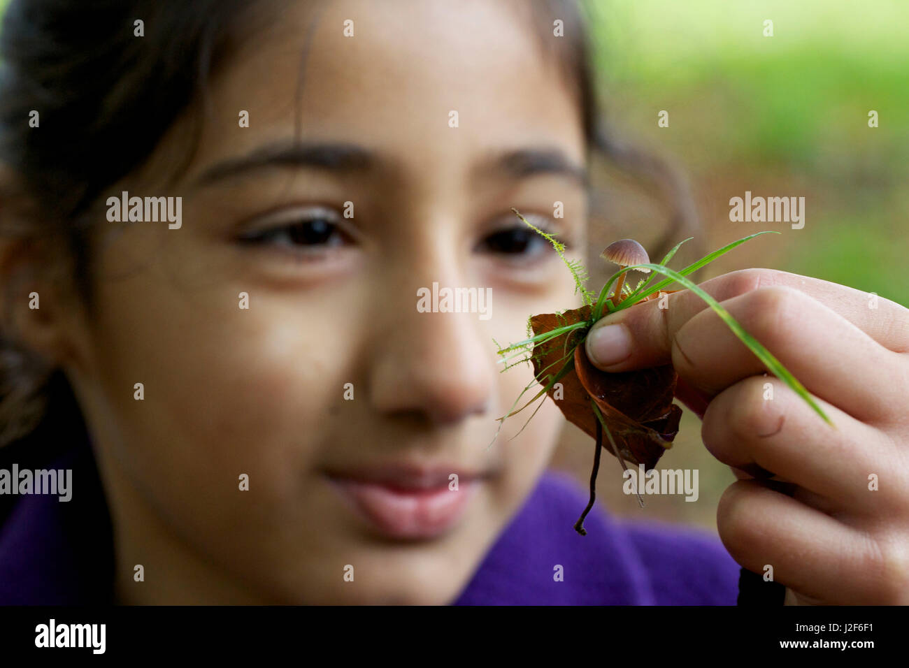 Natura Istruzione nel Amelisweerd in Utrecht Foto Stock