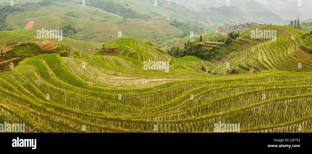Risaie con un piccolo villaggio nella provincia di Guangxi Foto Stock