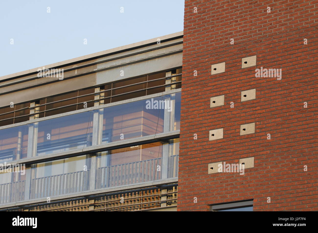 Scatole di nido per la Swift comune di ottenere un posto di primo piano in un nuovo edificio di appartamenti Foto Stock