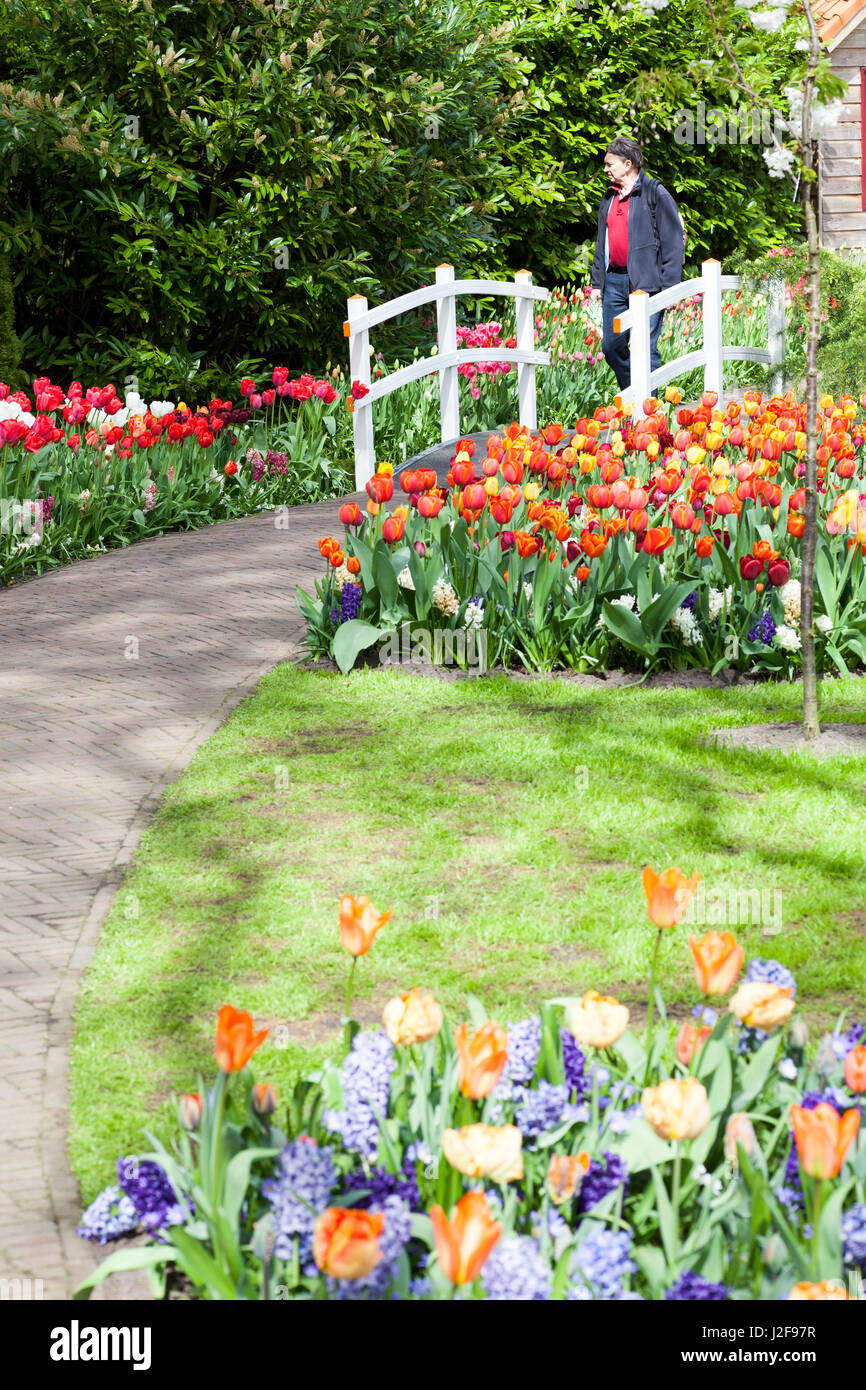 Ai visitatori di ammirare i bellissimi fiori e giardini del Keukenhof in Lisse Foto Stock