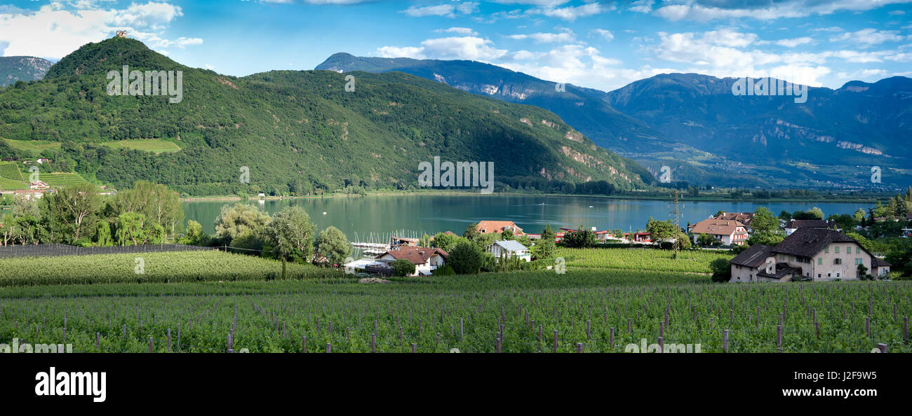 Il Lago di Caldaro, Italia, wine country panorama Foto Stock