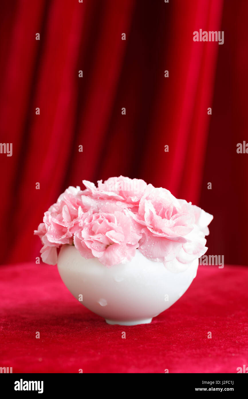 Carnation bouquetIn un vaso bianco, Giornata della madre fiore Foto Stock