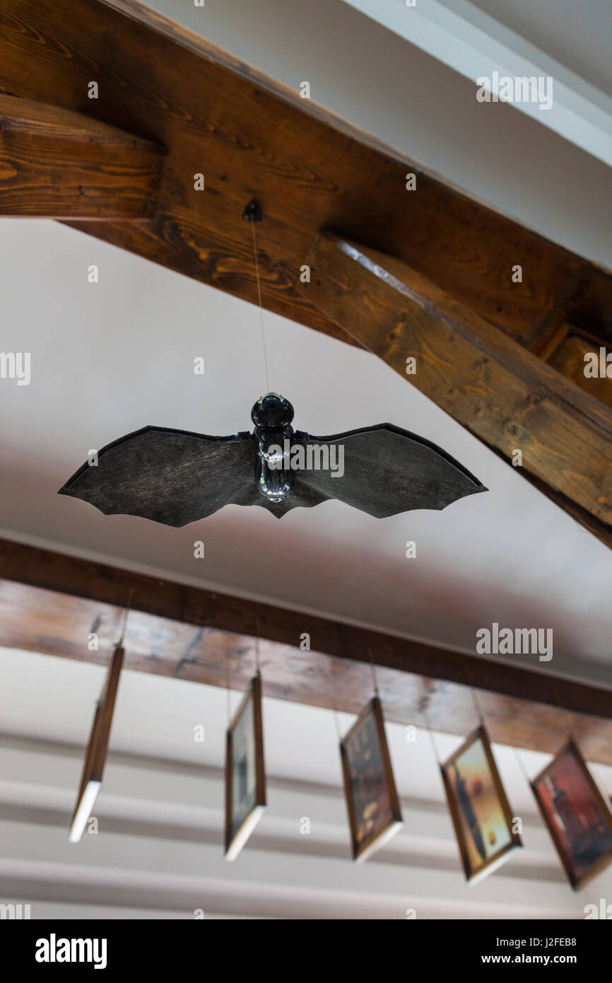 La Romania, Transilvania, Tihuta Pass, Hotel Castel Dracula, bat arte, interno Foto Stock