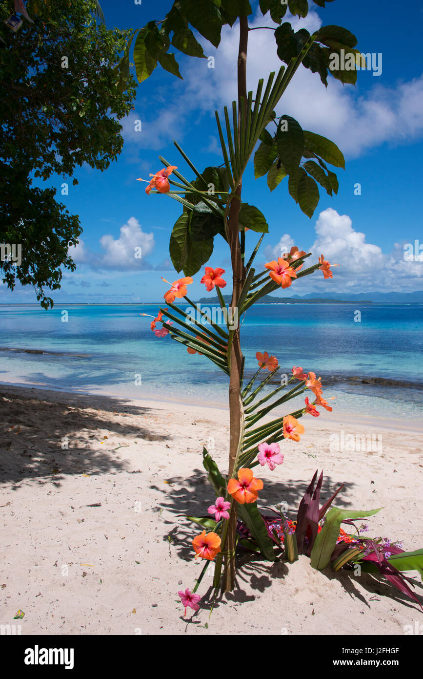 La Melanesia, Isole Salomone, isola di Owaraha o Owa Raha (precedentemente noto come Santa Ana), villaggio di Gupuna aka Ghupuna. Artisticamente disposte fiori di ibisco sulla spiaggia di OWA Raha. (Grandi dimensioni formato disponibile) Foto Stock