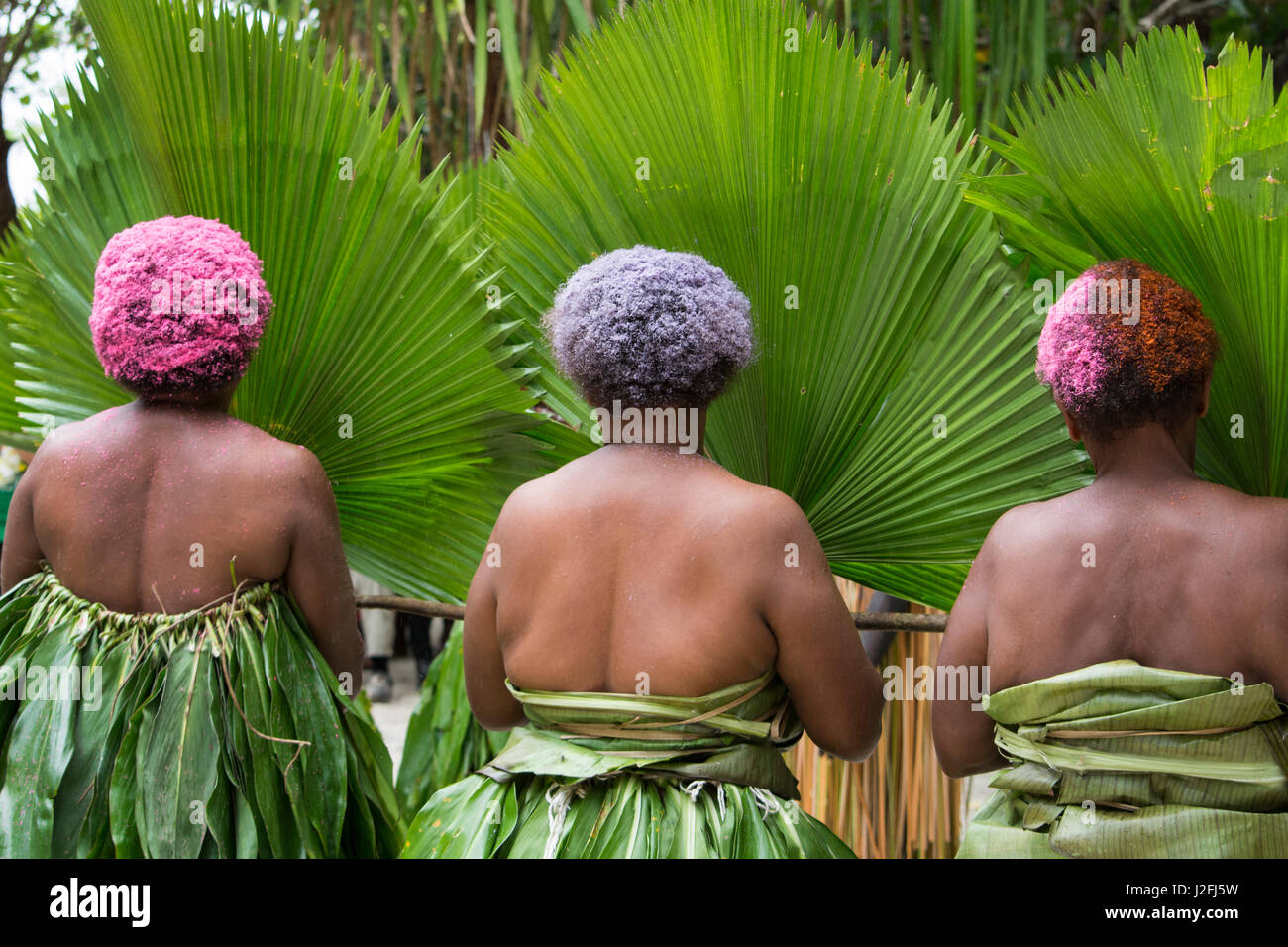 Repubblica di Vanuatu Isole di Torres, Loh isola. Il cerimoniale della danza con gli abitanti di un villaggio in costume, donne con capelli colorati vestito in palm gonne. Foto Stock