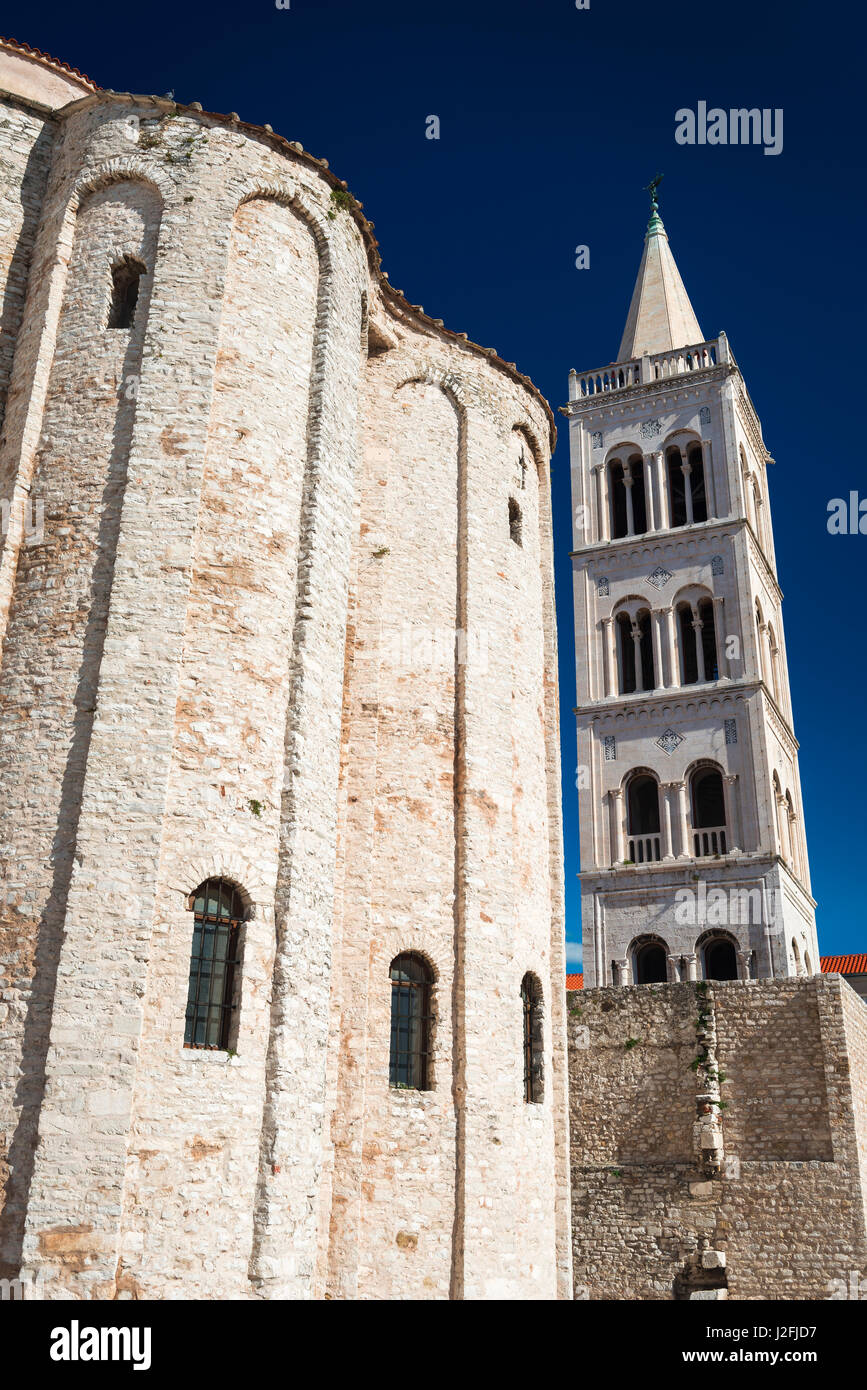 San Donato e la chiesa di Santa Anastasia Duomo torre campanaria, Zara, Dalmazia, Croazia (formato di grandi dimensioni disponibili) Foto Stock