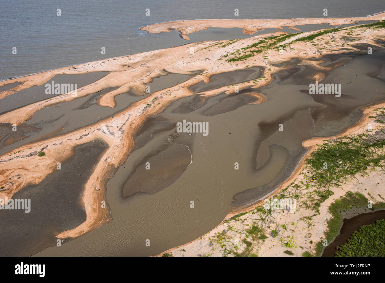 Shell Beach, a nord della Guyana Foto Stock