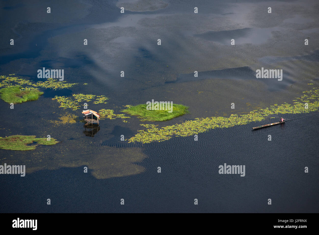 Pescatore in conservancy. West Demerara Conservancy, a ovest di Georgetown, Guyana Foto Stock