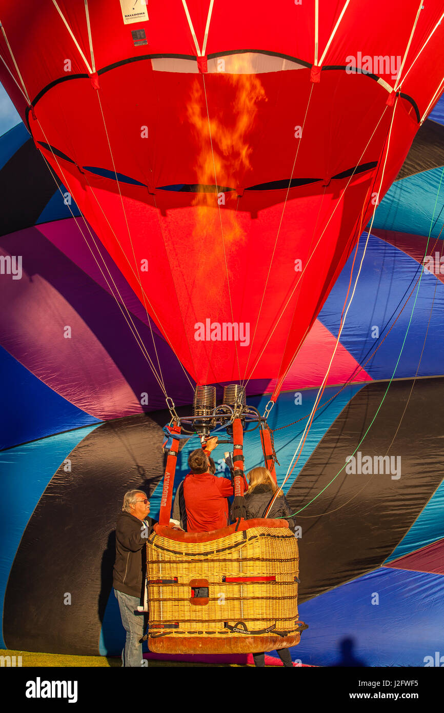 Lake Havasu Balloon Festival. Nel cestello, caricamento verticale Foto Stock