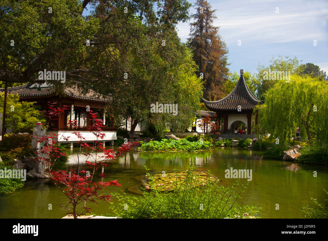 Stati Uniti, California, San Marino. La Biblioteca di Huntington giardini cinesi. Foto Stock