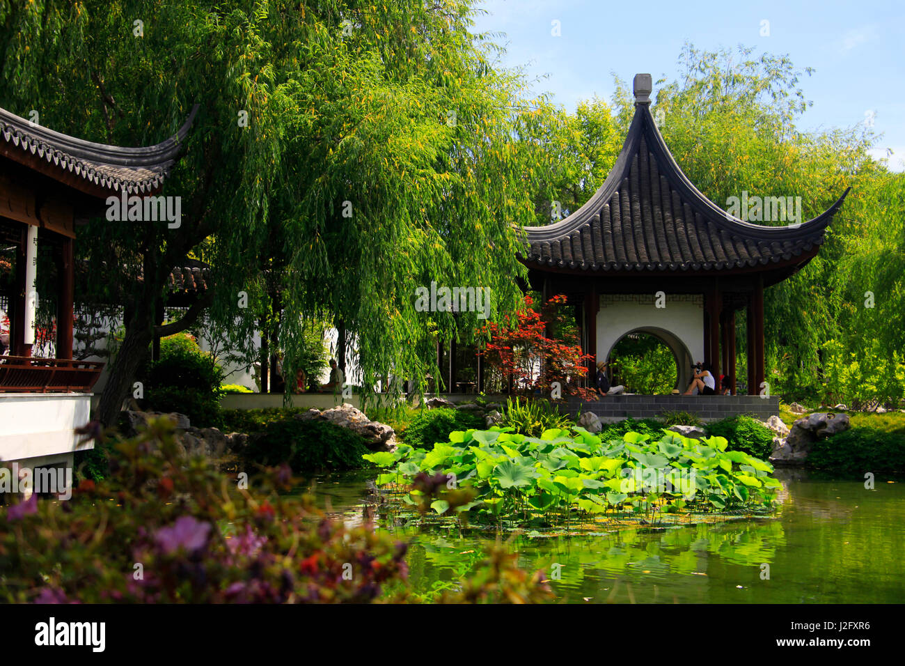 Stati Uniti, California, San Marino. La Biblioteca di Huntington giardini cinesi. Foto Stock