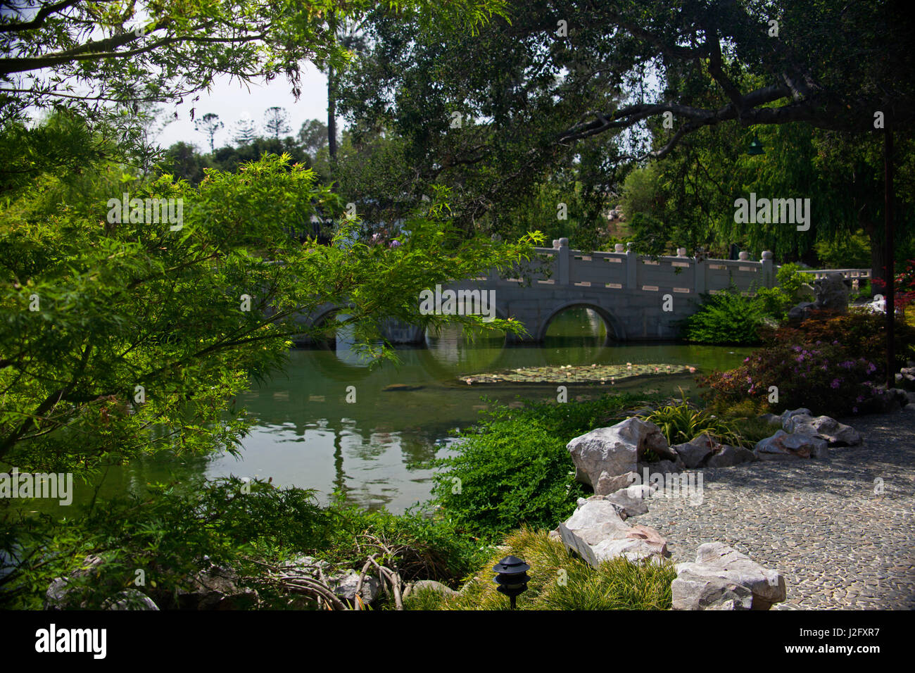 Stati Uniti, California, San Marino. La Biblioteca di Huntington Giardini Cinesi Pond. Foto Stock
