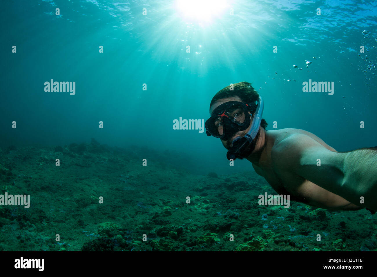 Un uomo boccagli nelle limpide acque blu al di fuori della North Shore di Oahu, Hawaii. Foto Stock