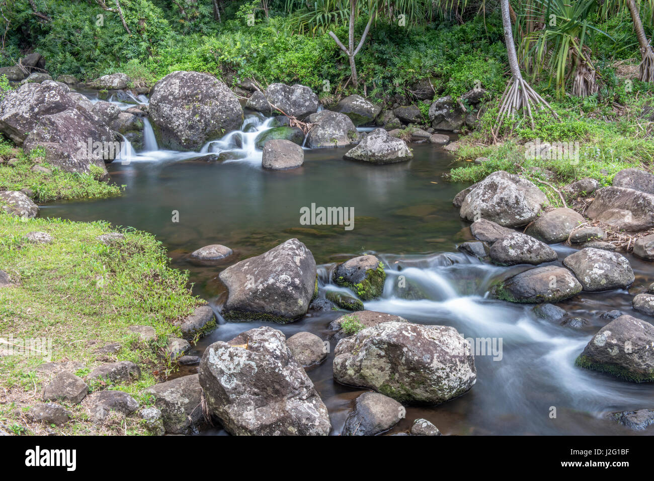 Hawaii, Kauai, Limahuli Garden e preservare (formato di grandi dimensioni disponibili) Foto Stock