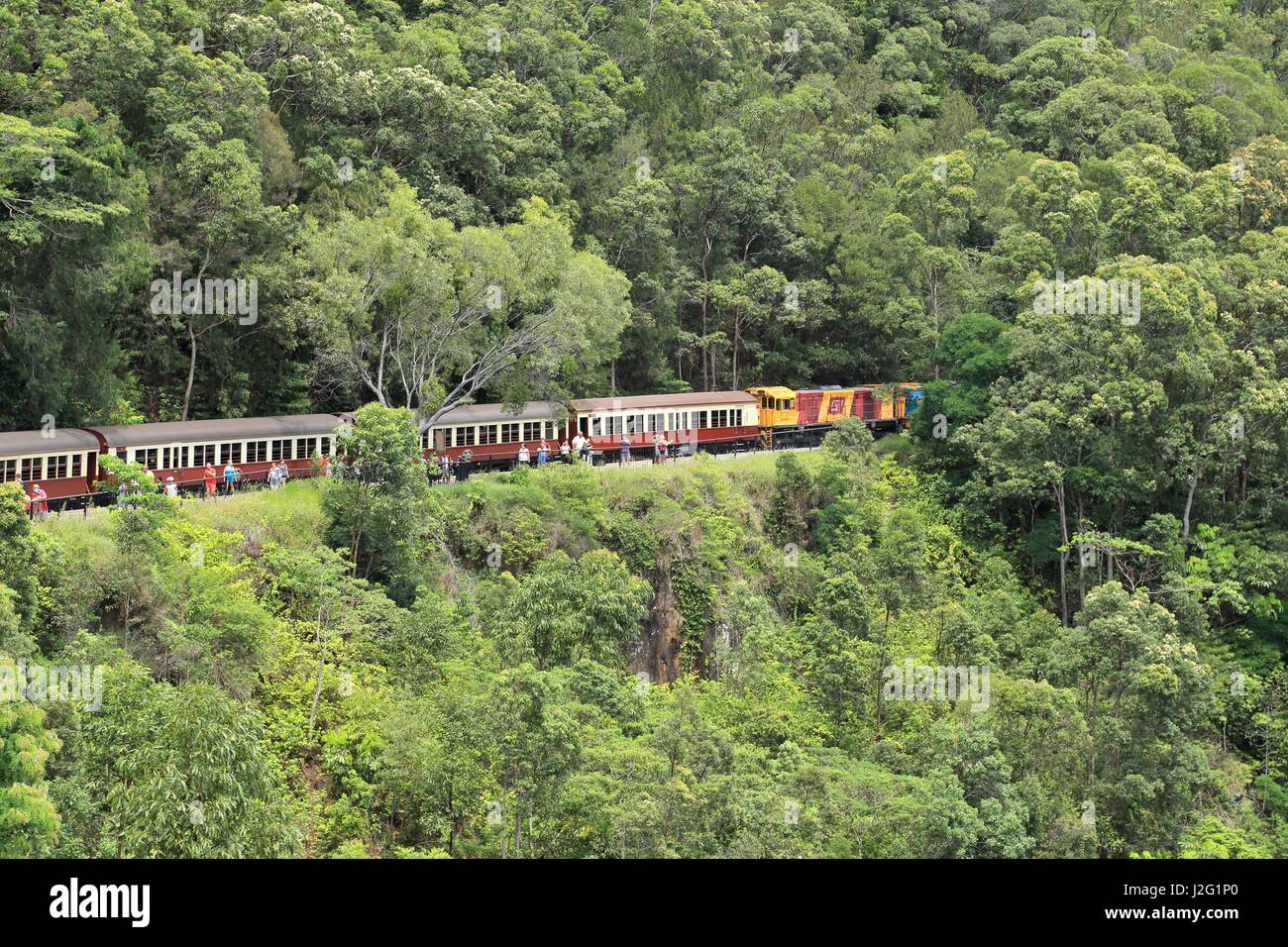 Kuranda Scenic Railway, la storica linea ferroviaria che corre da Cairns, Queensland, Australia, per la vicina città di Kuranda Foto Stock