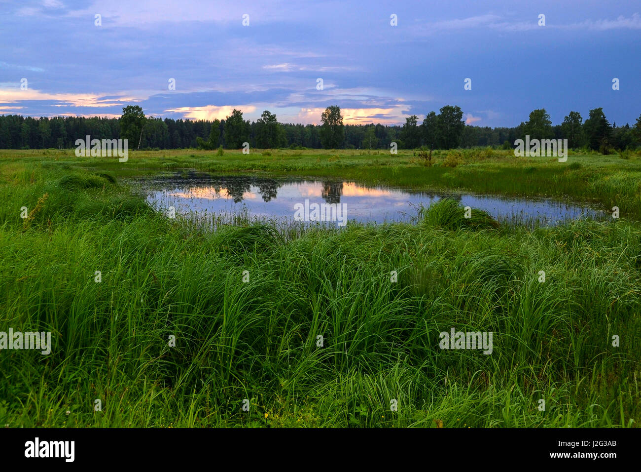 Paesaggio con un piccolo lago, effetto Foto Stock