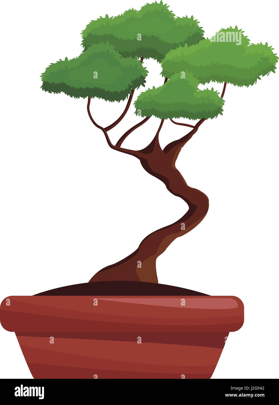 Pot tree bonsay longevità hobby botanico Illustrazione Vettoriale
