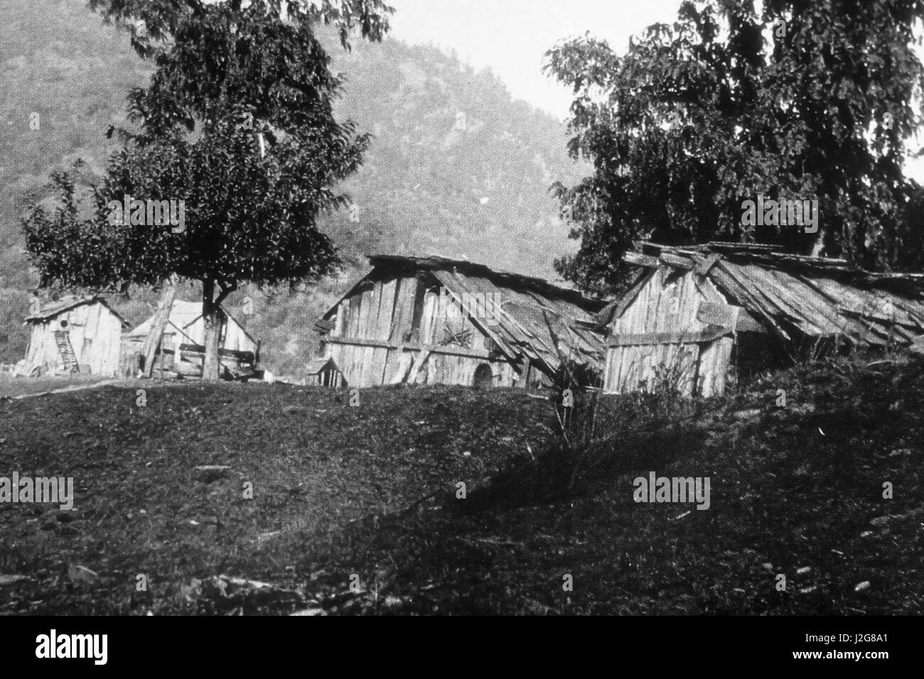 1898 storica fotografia in bianco e nero di un Hupa villaggio indiano sulla trinità fiume. Gli edifici sono costruiti con tavole di cedro Foto Stock