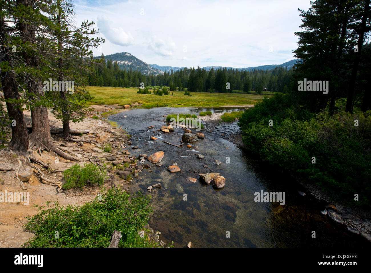 Stati Uniti, California, Mammoth Lakes, Sierra Nevada, Devil's Postpile monumento nazionale, San Joaquin River, Minaret Falls trail (formato di grandi dimensioni disponibili) Foto Stock