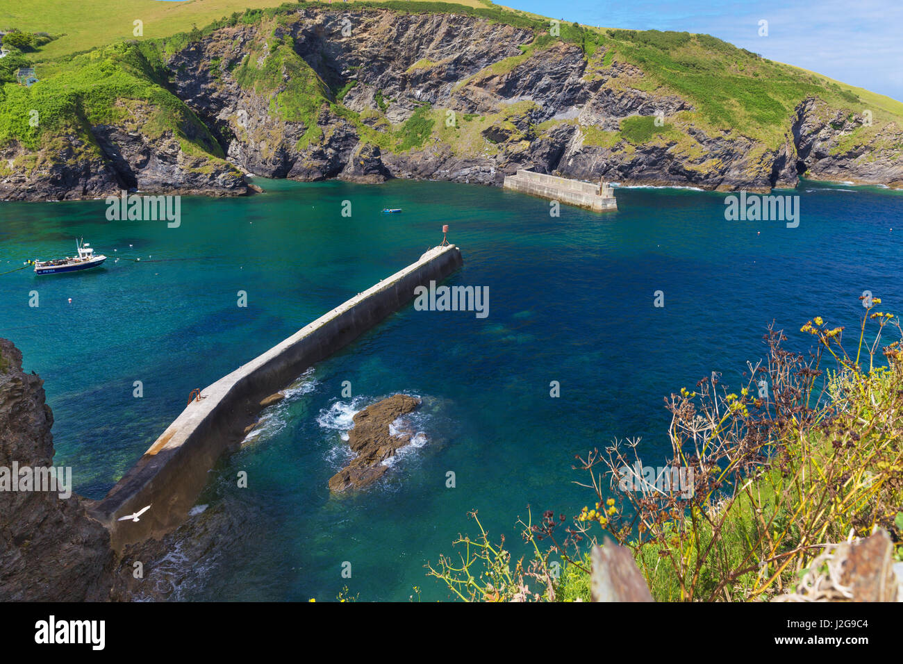 Popolare Porto Issac oceano Atlantico costa, Cornwall, England, Regno Unito Foto Stock
