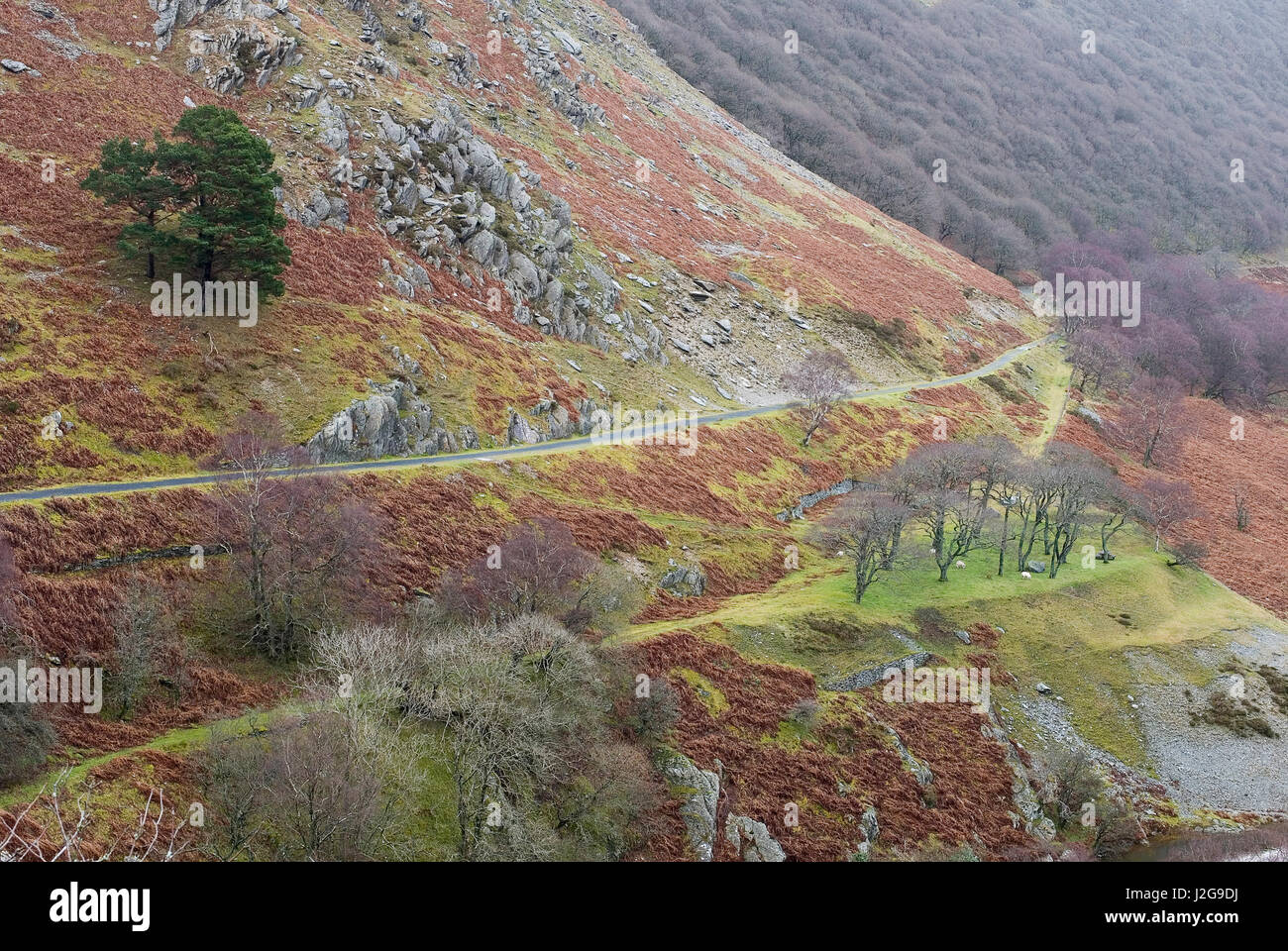 Paesaggio colorato nella valle di Elan Foto Stock