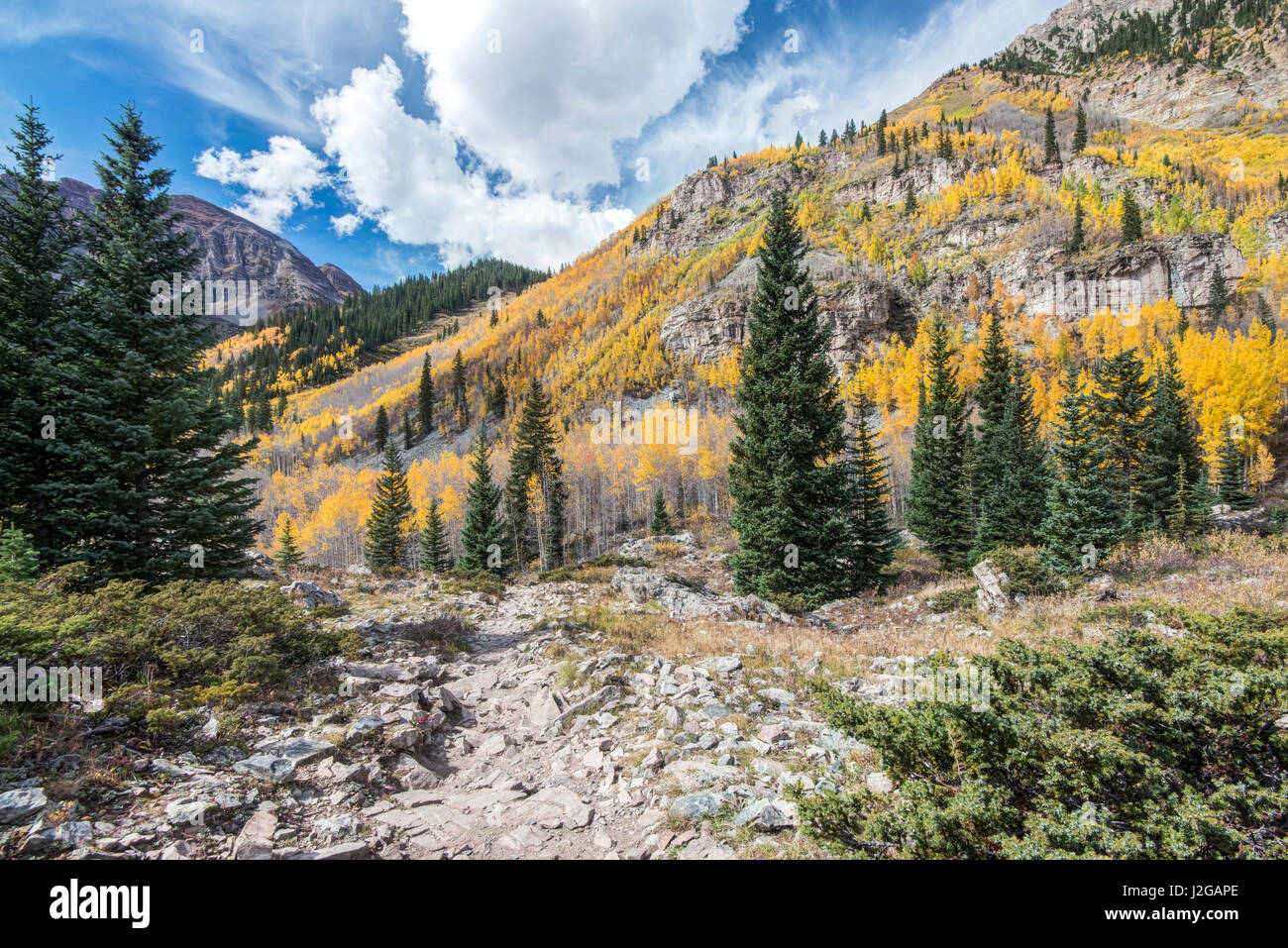 Stati Uniti d'America, Colorado, White River National Forest, Colore di autunno su Maroon Creek Trail (formato di grandi dimensioni disponibili) Foto Stock