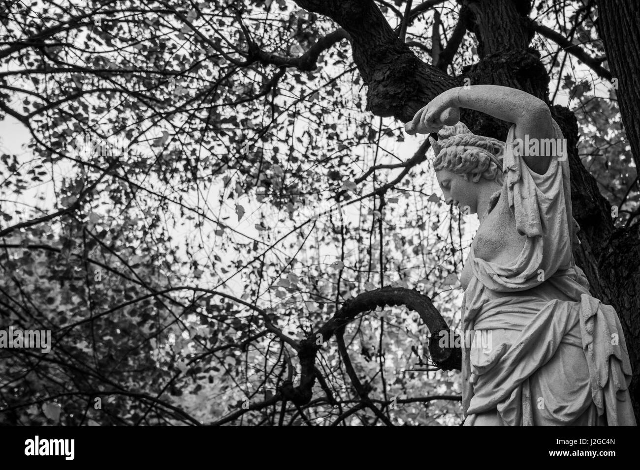 Una delle molte sculture nei Giardini di Schloss Schönbrunn a Vienna, Austria. Foto Stock
