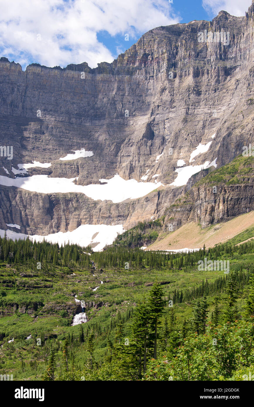 Il Parco Nazionale di Glacier. Iceberg Lake cirque e pernice bianca da parete Iceberg Lake Trail. Foto Stock