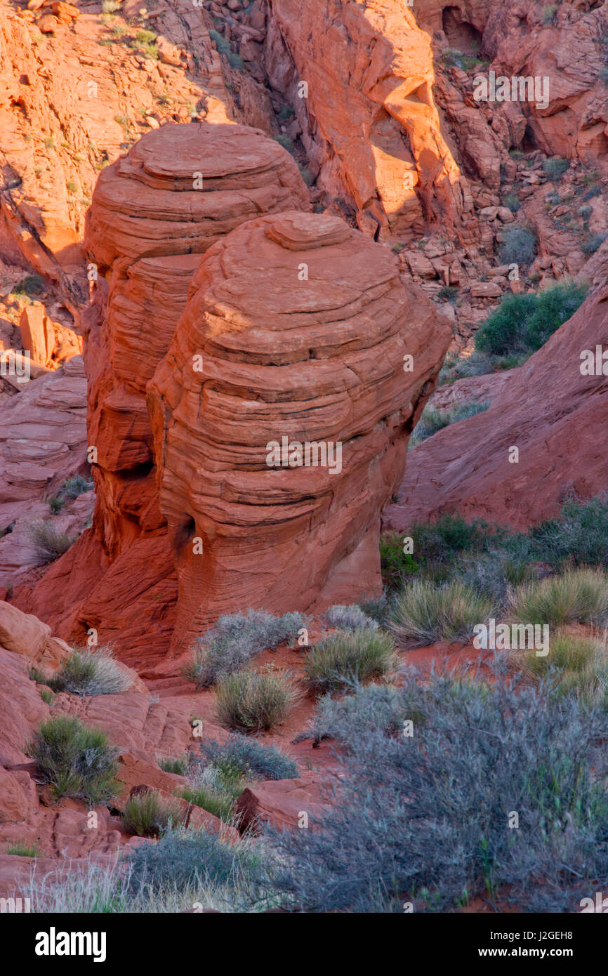 Beehive formazioni, Rainbow Vista, la Valle del Fuoco del parco statale, Overton, Nevada, STATI UNITI D'AMERICA Foto Stock