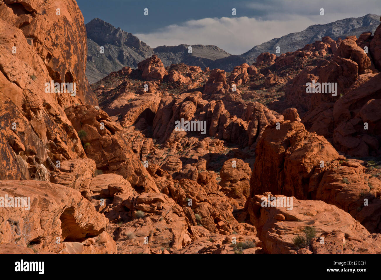 Il Red Rock, la Valle del Fuoco del parco statale, Nevada, STATI UNITI D'AMERICA Foto Stock