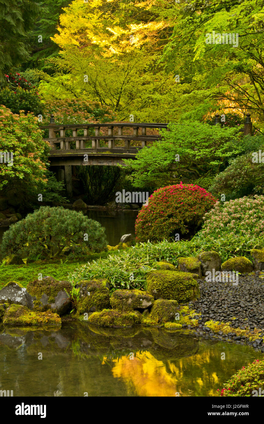 Ponte della Luna, molla, Portland Giardino Giapponese, Portland, Oregon, Stati Uniti d'America Foto Stock