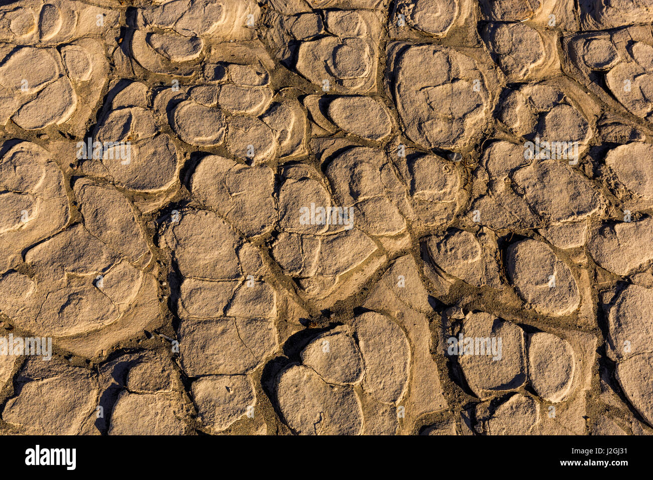Fango essiccato crepe di antiche lakebed in Mesquite dune di sabbia nel Parco Nazionale della Valle della Morte, CALIFORNIA, STATI UNITI D'AMERICA Foto Stock