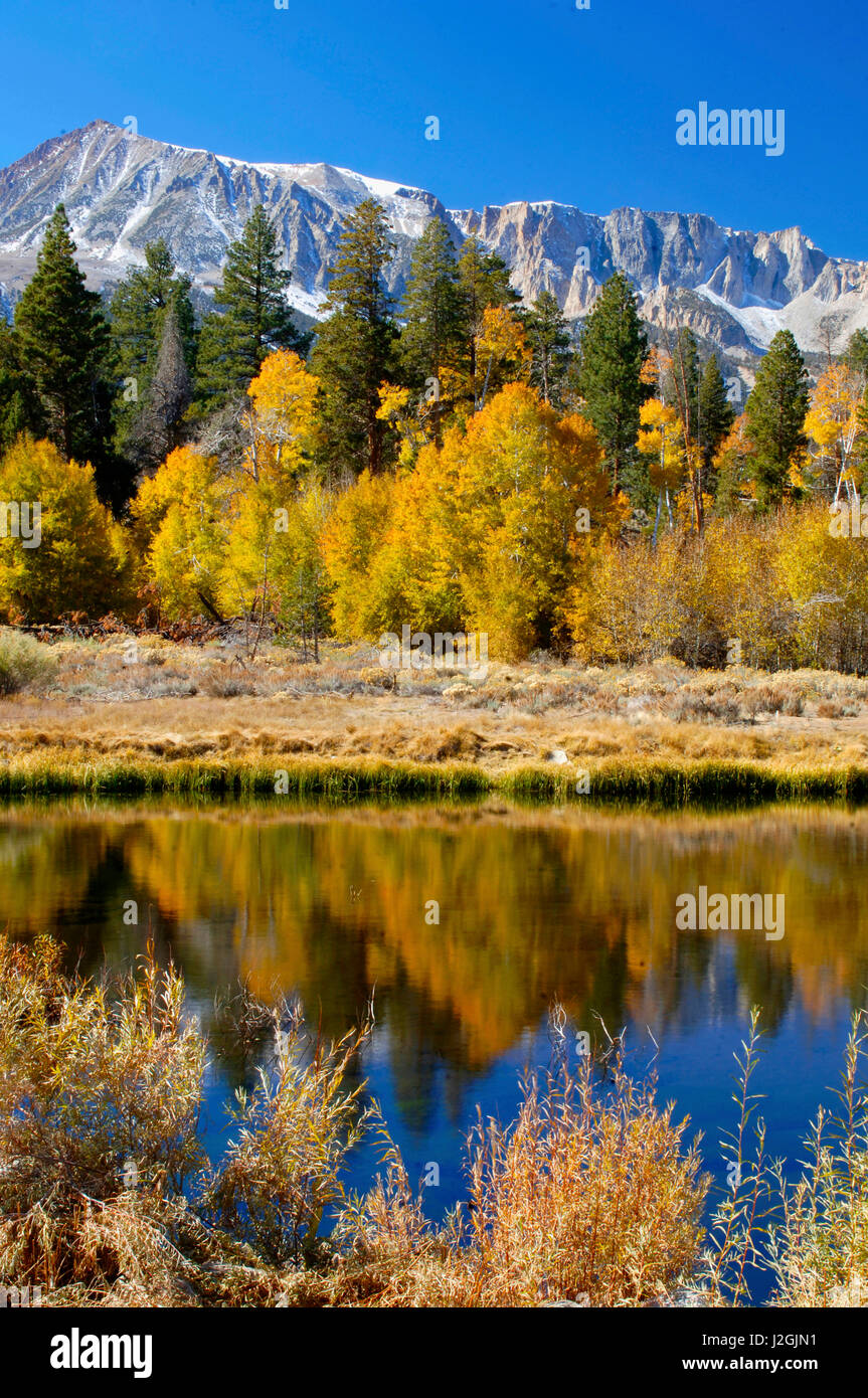 Il parco nazionale di Yosemite Mount Dana come visto da Lee Vining Canyon nella Sierras. Foto Stock