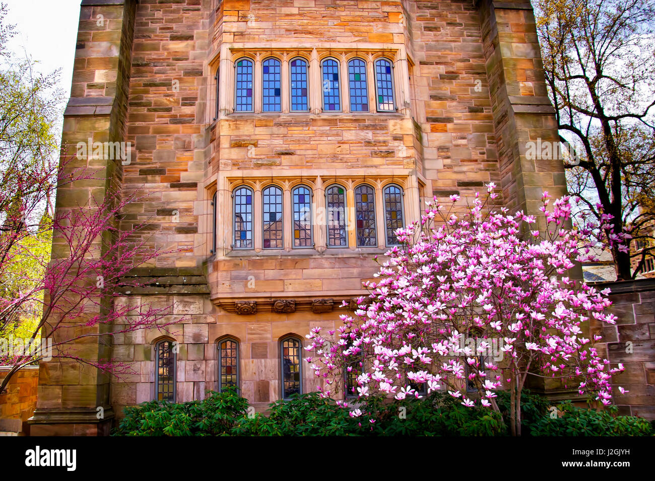 Università di Yale, edificio vittoriano, molla, New Haven, Connecticut Foto Stock