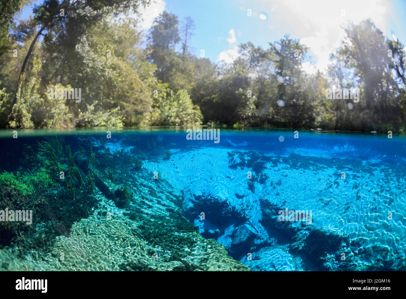 Al di sopra e al di sotto dell'immagine che mostra le chiare acque blu della molla Itchetucknee, Florida. Foto Stock