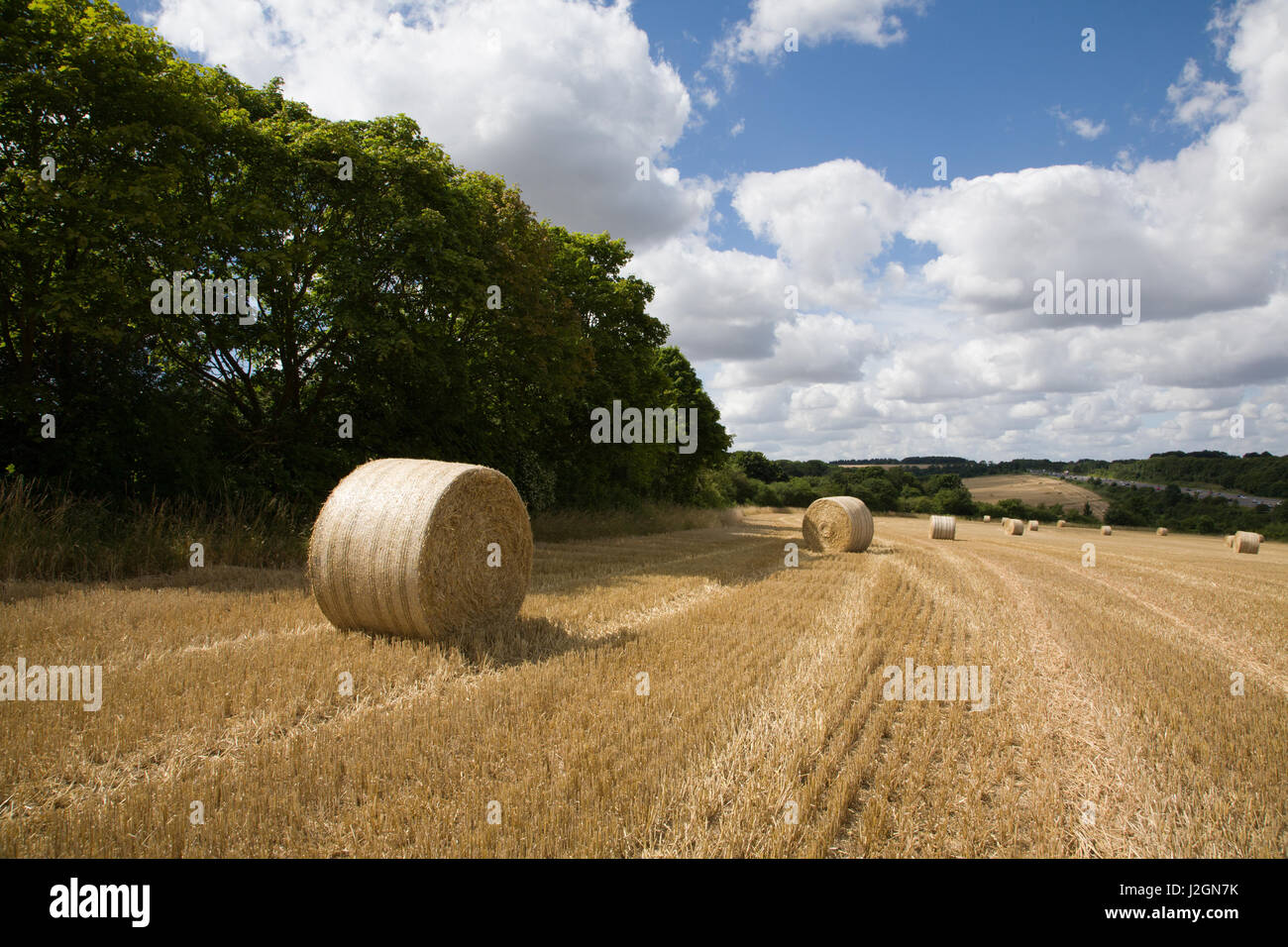 Balle di fieno al momento del raccolto in campi nei pressi Dummer, Basingstoke, Hampshire, Inghilterra. Foto Stock