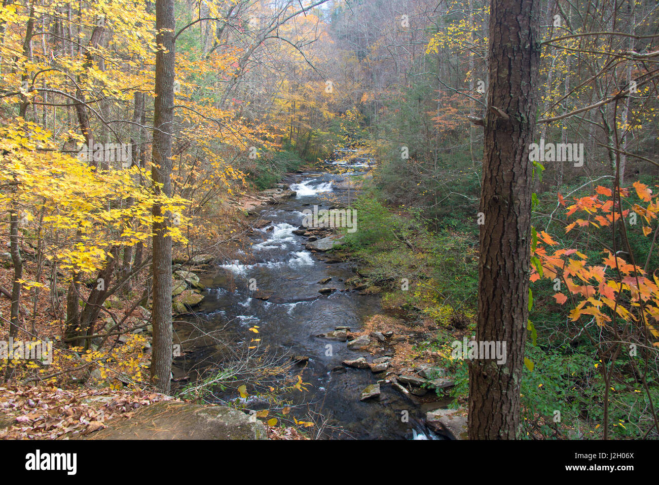 Stati Uniti d'America, Tennessee, Tellico Plains. Fall Classic Appalachian ruscello di montagna con le cascate. Cherokee National Forest calvo sulla gola del fiume Foto Stock