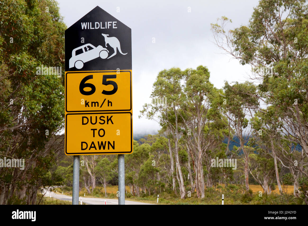 La fauna selvatica di avvertimento segno di velocità, Tasmania, Australia Foto Stock