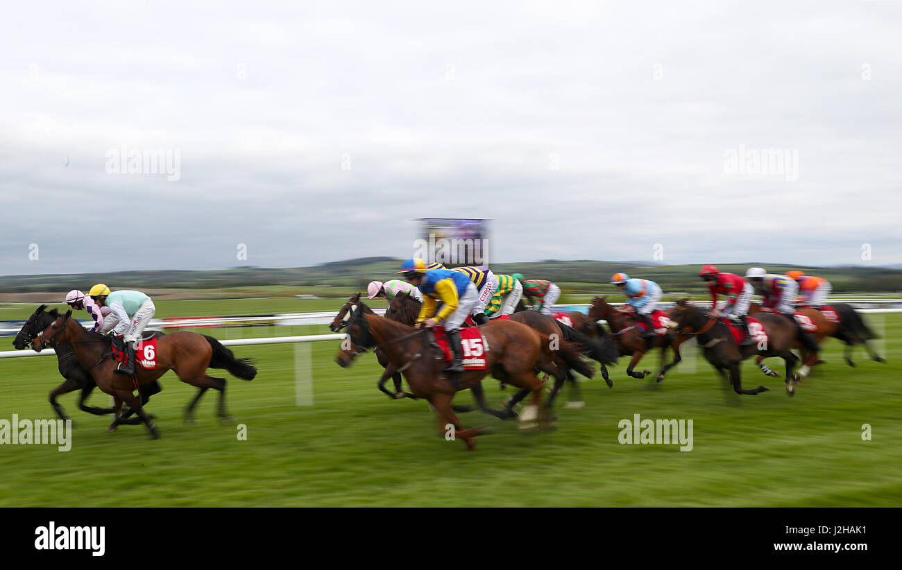 Guide e piloti competere nell'Hanlon E.B.F. Concrete Signora Glencarraig Mares Handicap Chase durante 4 giorni del festival di Punchestown in Naas, Co. Di Kildare. Foto Stock