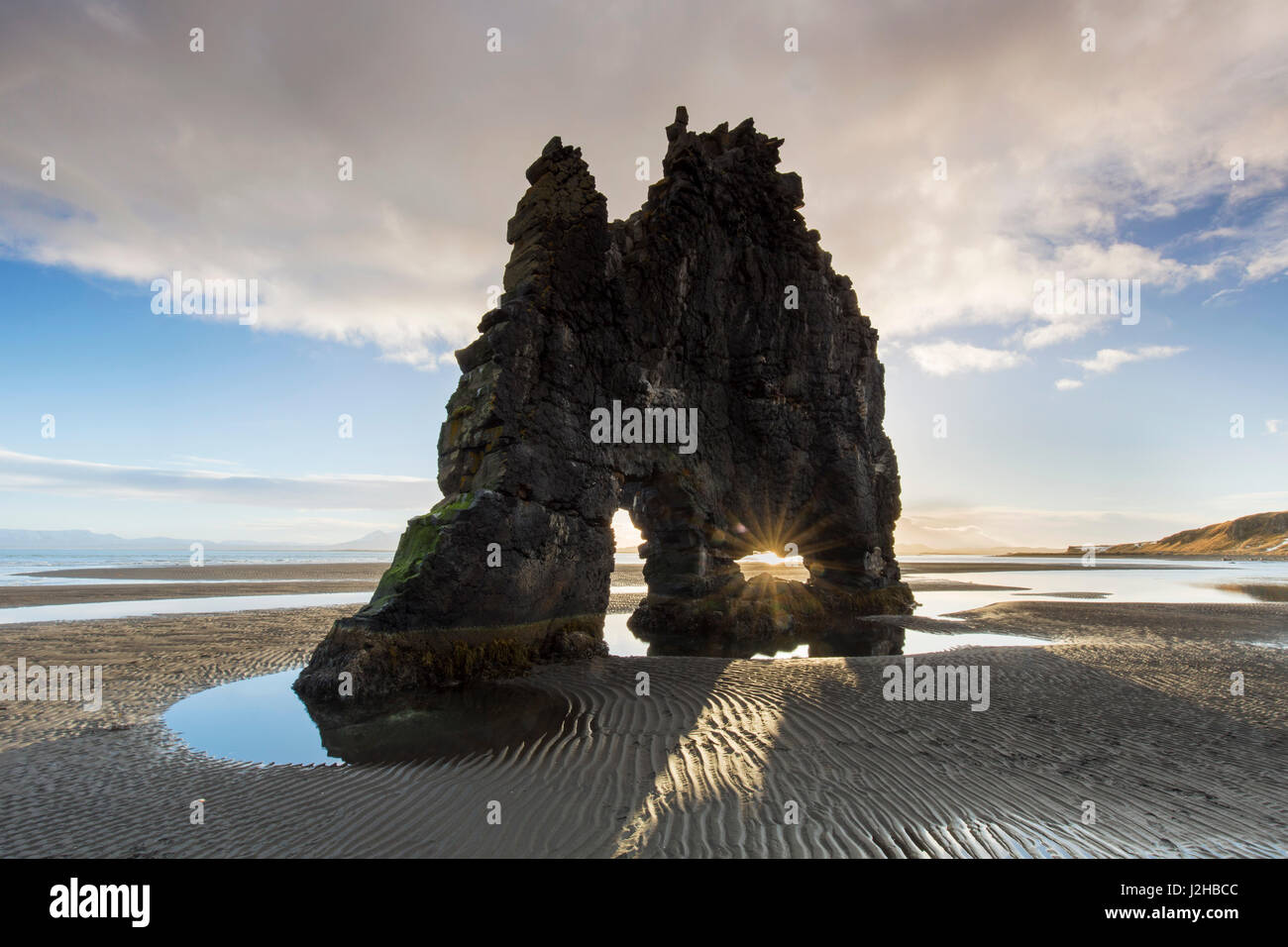 Hvitserkur, alta 15 m di basalto stack di mare lungo la costa orientale della penisola di Vatnsnes, Northwest Islanda Foto Stock