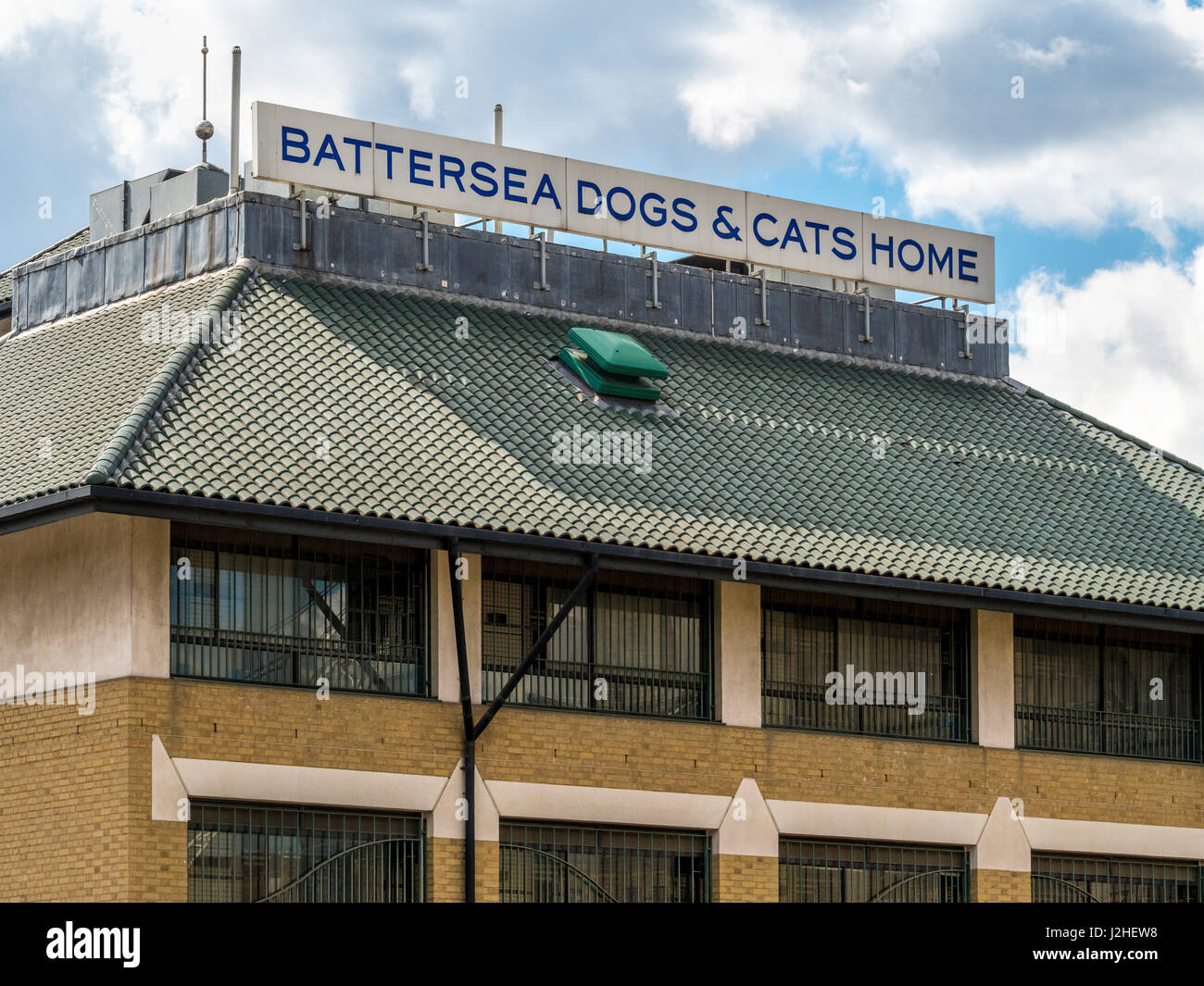 Battersea cani e gatti Casa di Londra, Regno Unito. Foto Stock