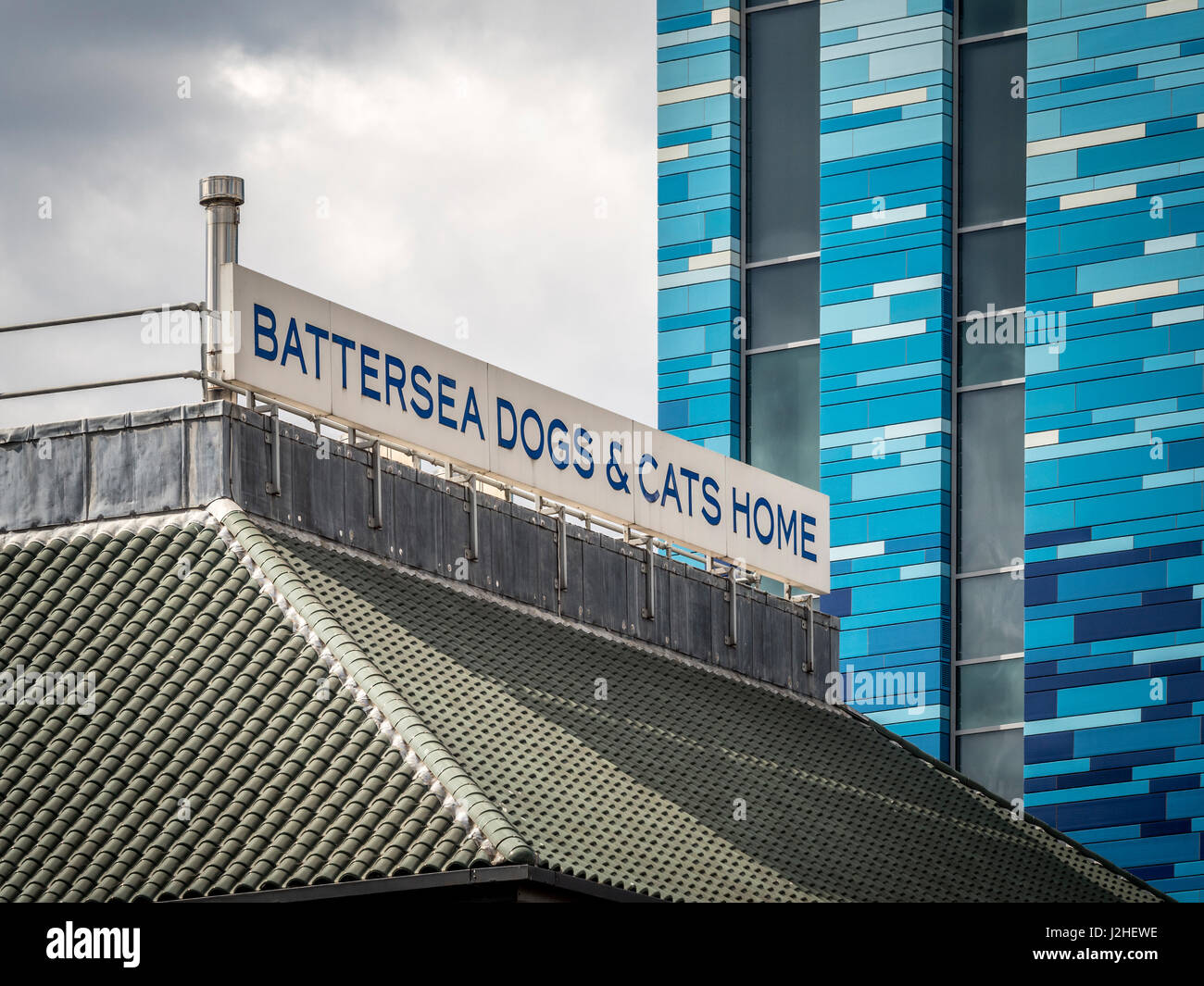 Battersea cani e gatti Casa di Londra, Regno Unito. Foto Stock