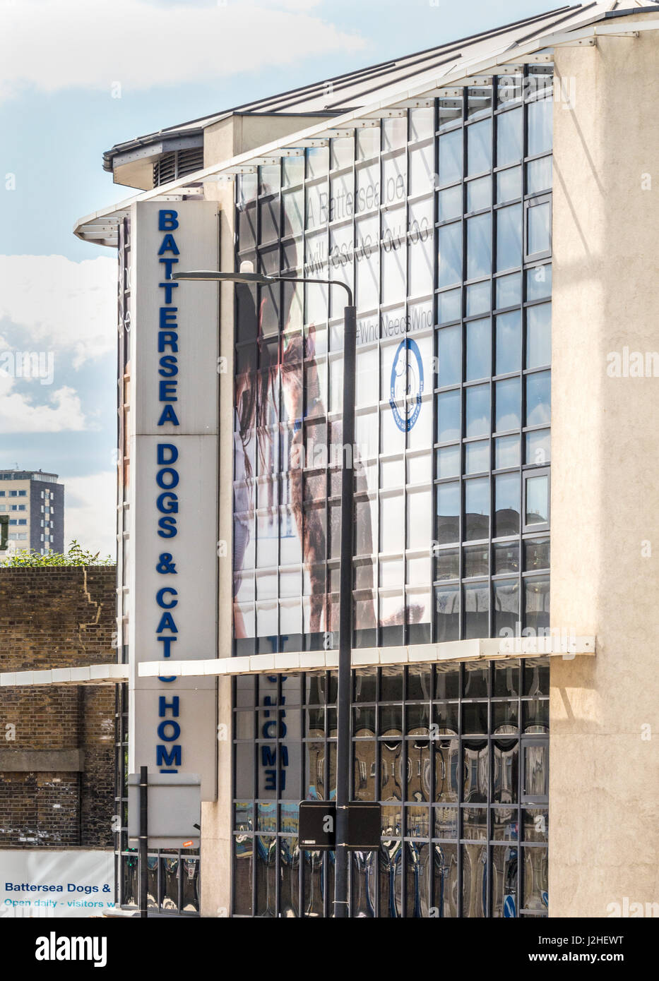 Battersea cani e gatti Casa di Londra, Regno Unito. Foto Stock